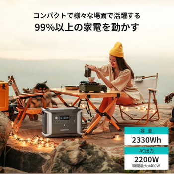 Dabbsson(ダブソン)DBS2300 Plusイメージ2